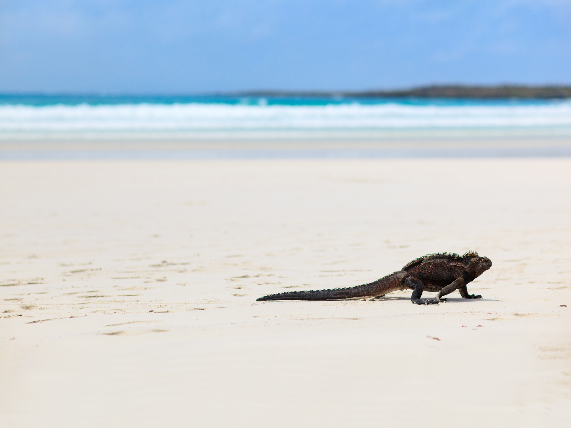 Galapagos Encounters - 7 days