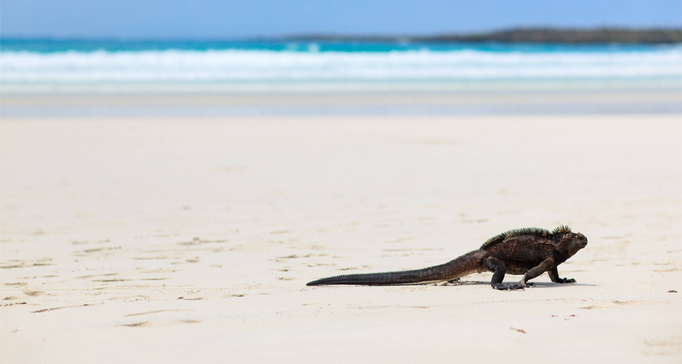 Galapagos Encounters - 7 days