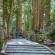 Okunoin cemetery | Mount Koya | Japan