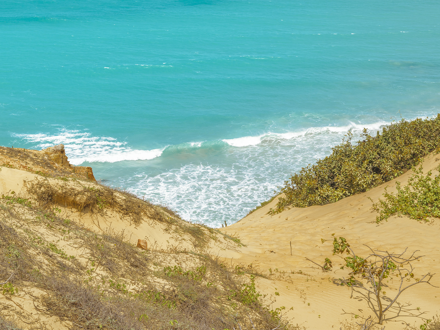 Day 6 - Jericoacoara