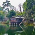 Stunning green lake surrounded by verdant vegetation in Kanazawa