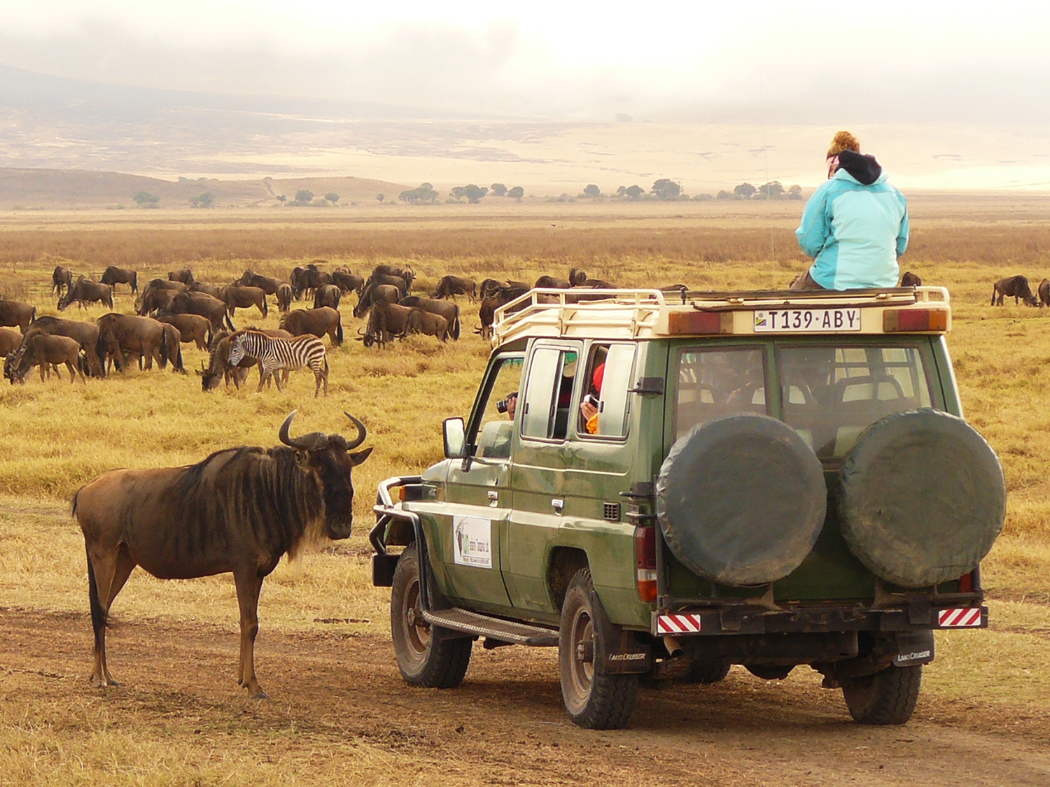 Kruger to the Serengeti (Accommodated) - 29 days