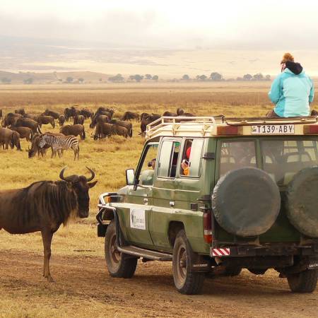 Kruger to the Serengeti (Accommodated) main image - on safari in Ngorongoro Crater