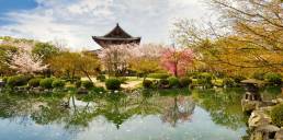 Best time to visit Japan | On The Go Tours