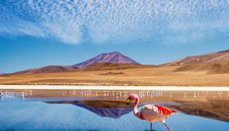 Laguna Colorada | Bolivia | South America