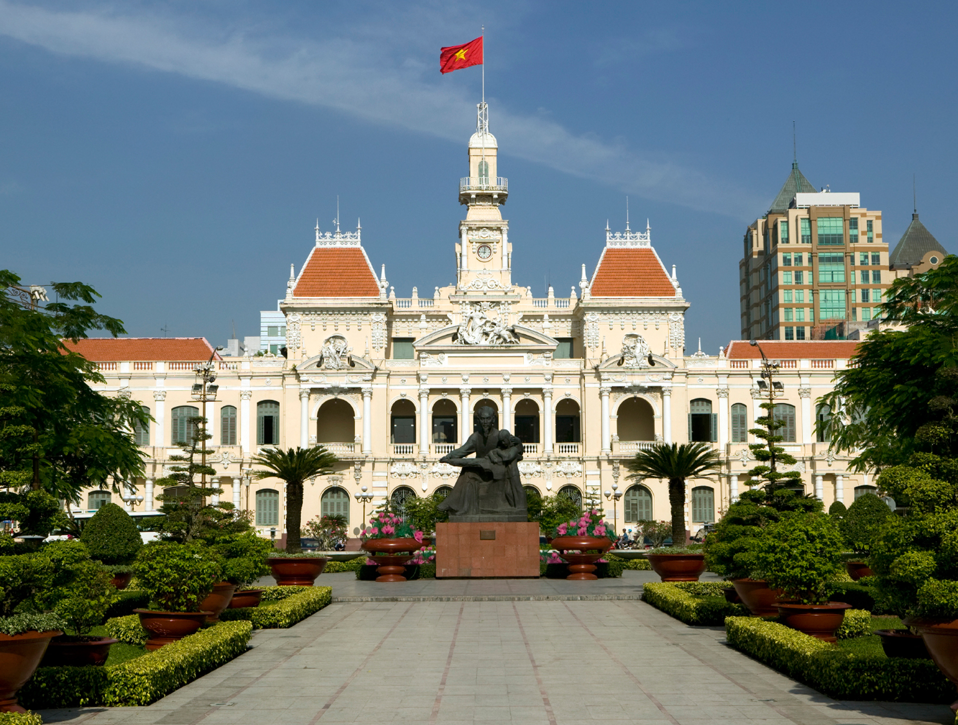 Thai Duc - Hanoi Capital Region, Professional Profile