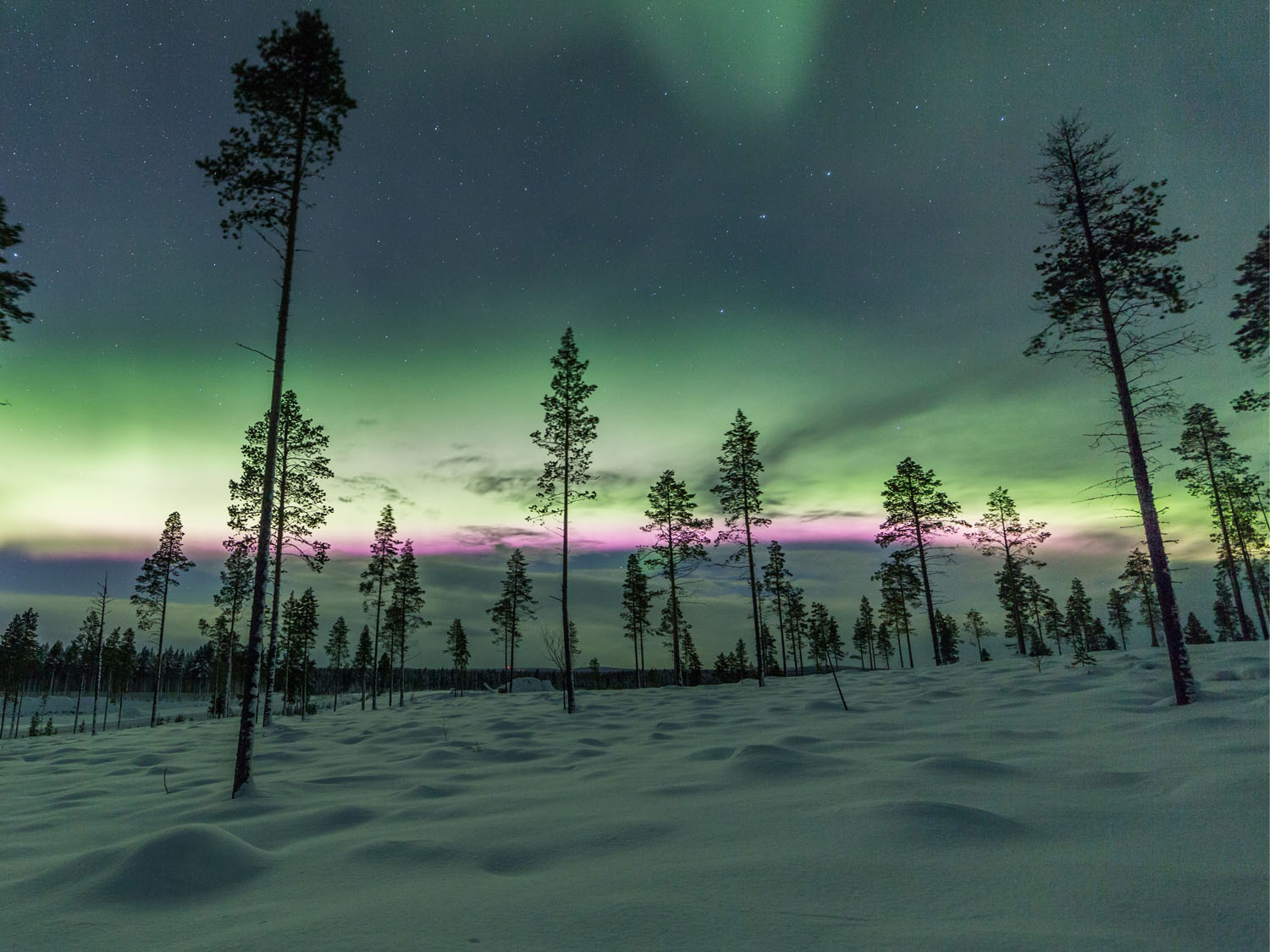 Lapland Family Explorer - 5 Days