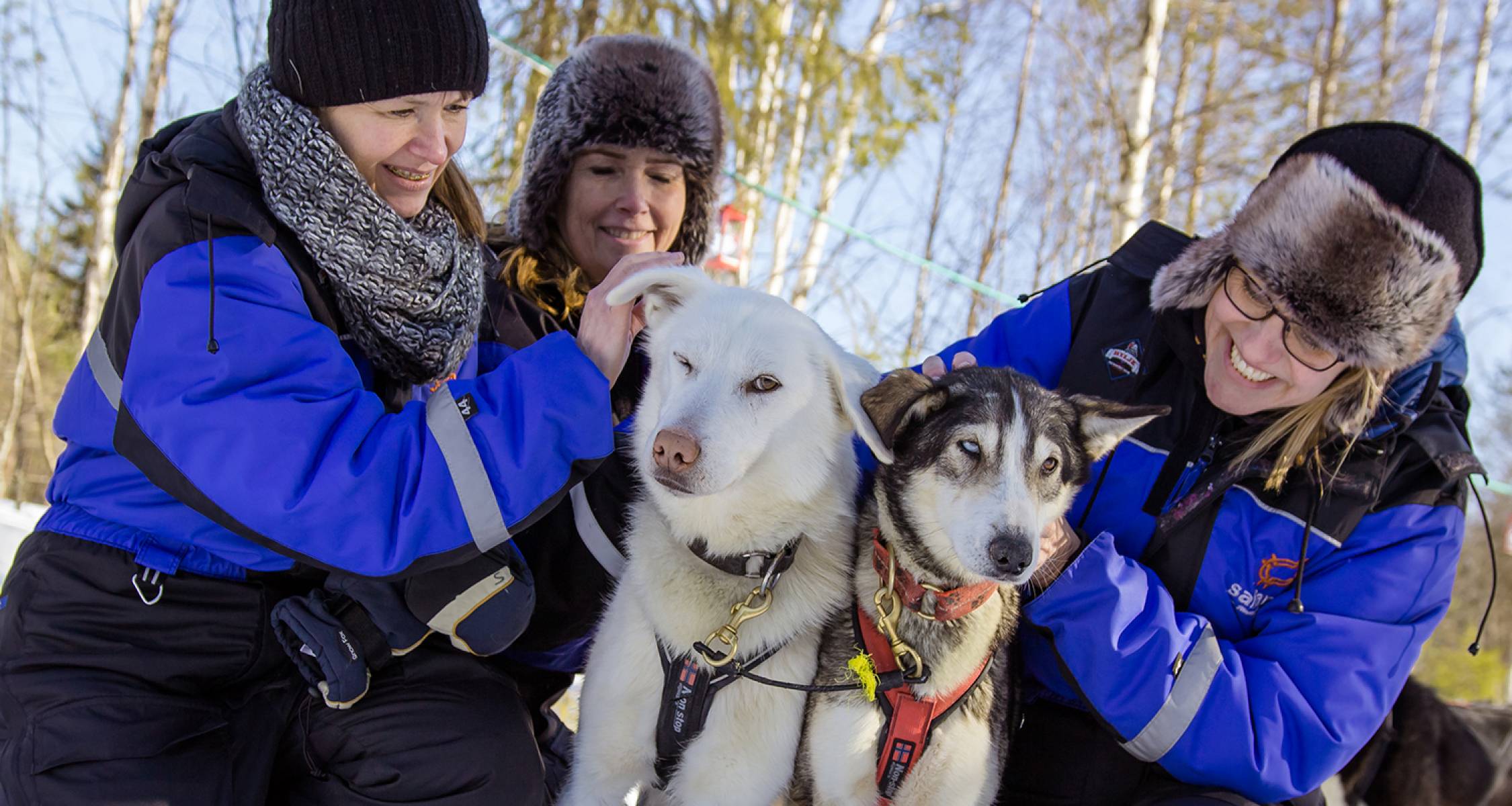 Lapland & Husky Highlights - 5 Days