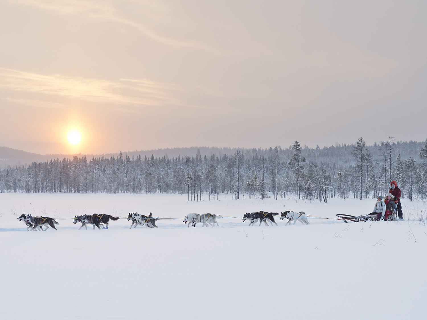 Swedish Lapland & Arctic Explorer - 5 days