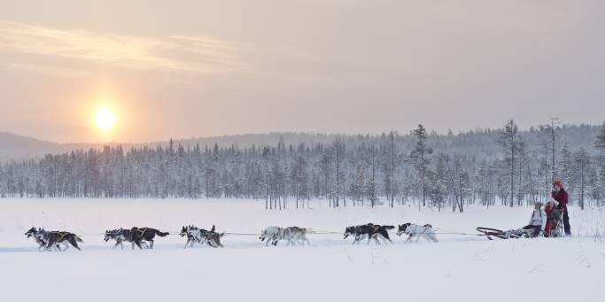 Lulea - Dog Sled