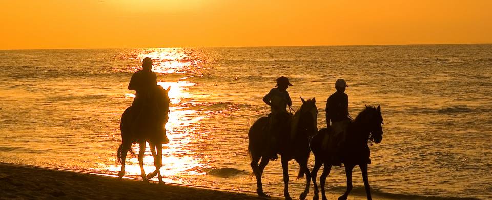 Sihouettes of horses riding along the beach at sunset in Mancora