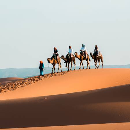 Morocco For Teens 2019 - Main Image - Camel Caravan in Moroccan Desert