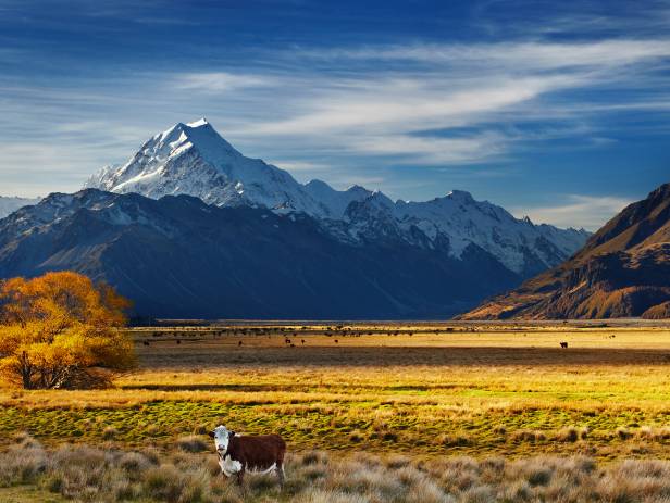 View of Queenstown - New Zealand - On The Go Tours