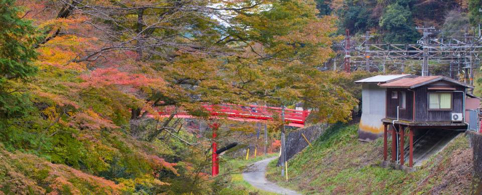 Station within the autumn-coloured trees on Mount Koya