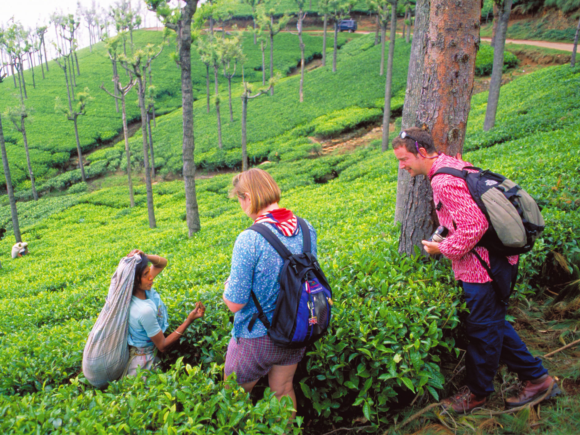 Munnar Tea Estate - 4 days