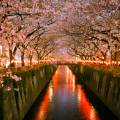 Rainbow Bridge, stretching across the water in Tokyo, lit up at night