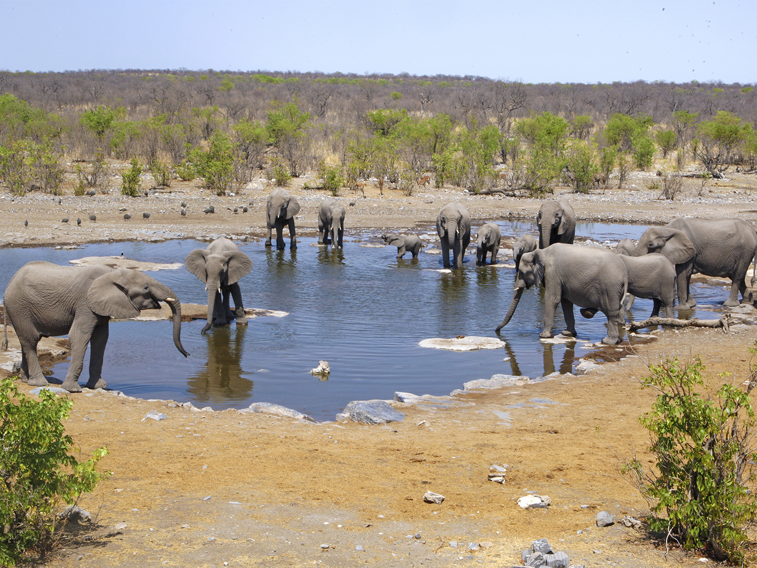 Namibia & Cape Discovery - 11 days