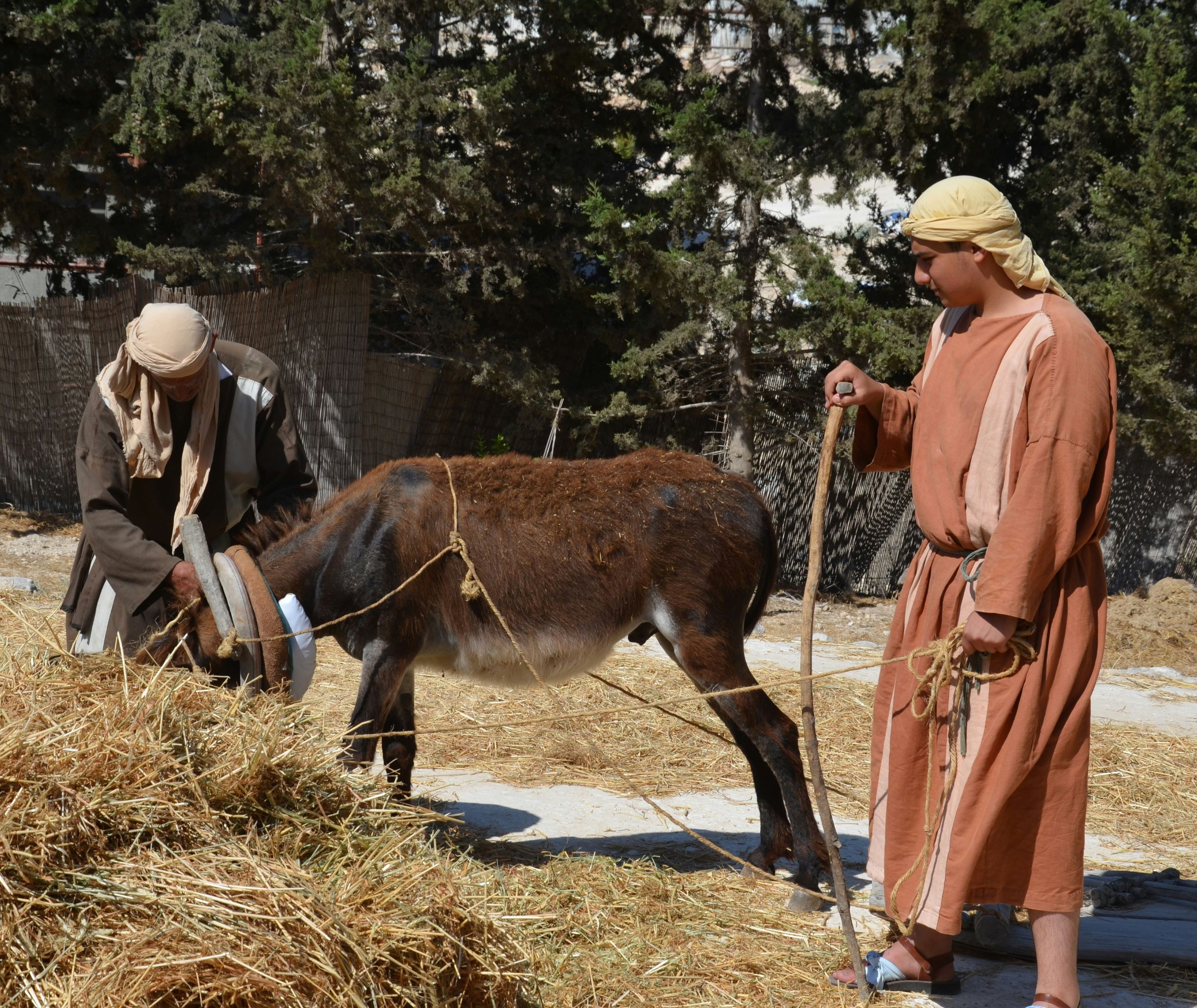 Nazareth Village