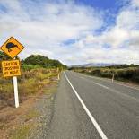 A kiwi road crossing sign | New Zealand