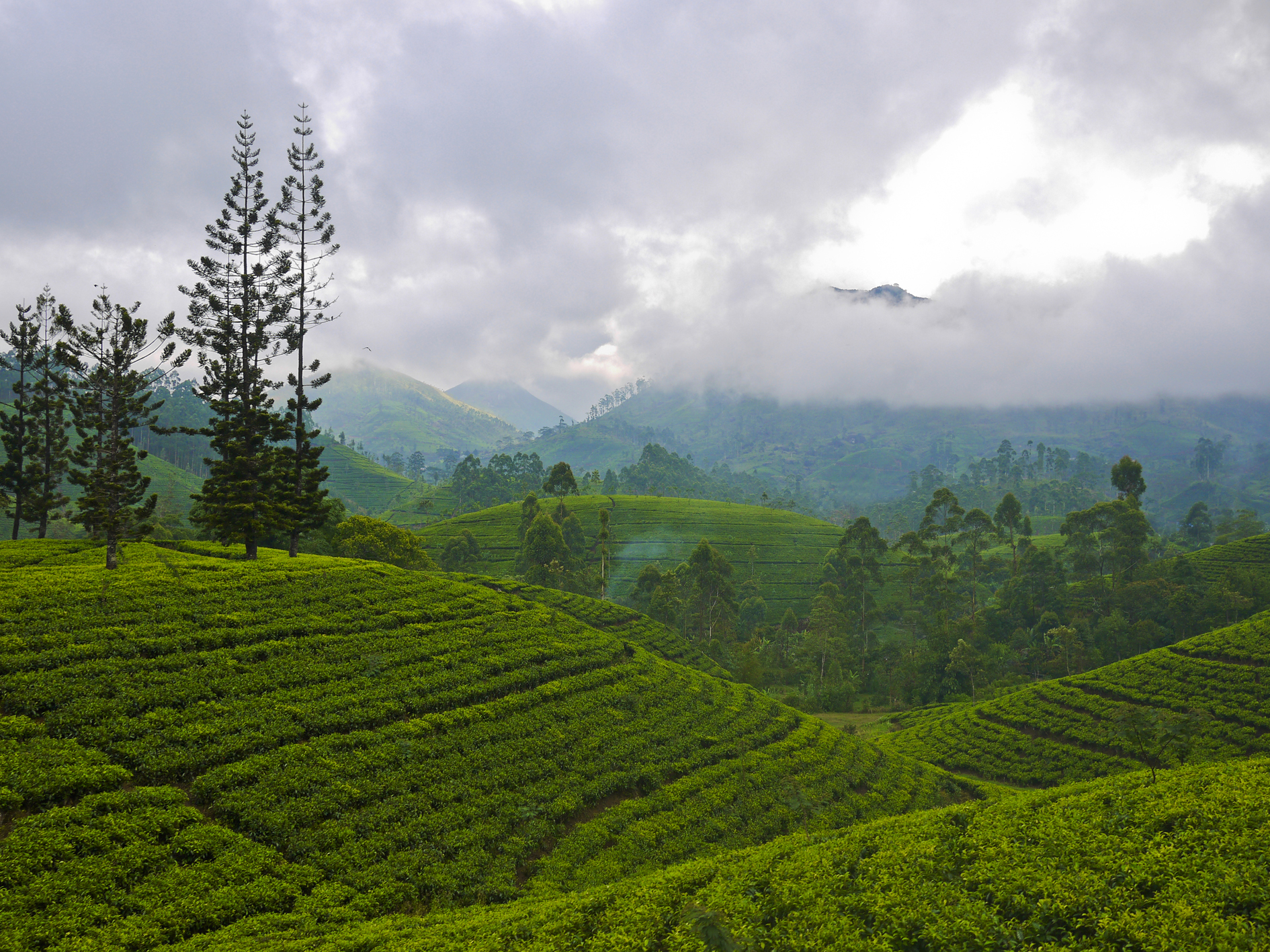 Classic Sri Lanka - 9 Days