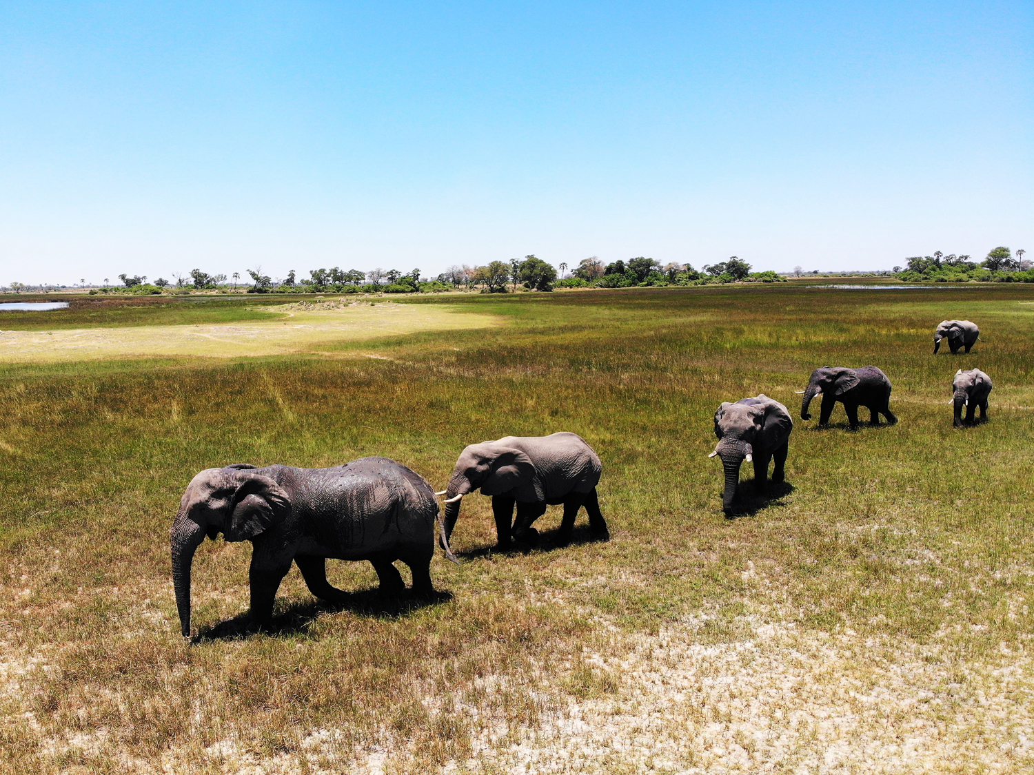 Falls & Okavango Wilderness Discovery - 9 Days