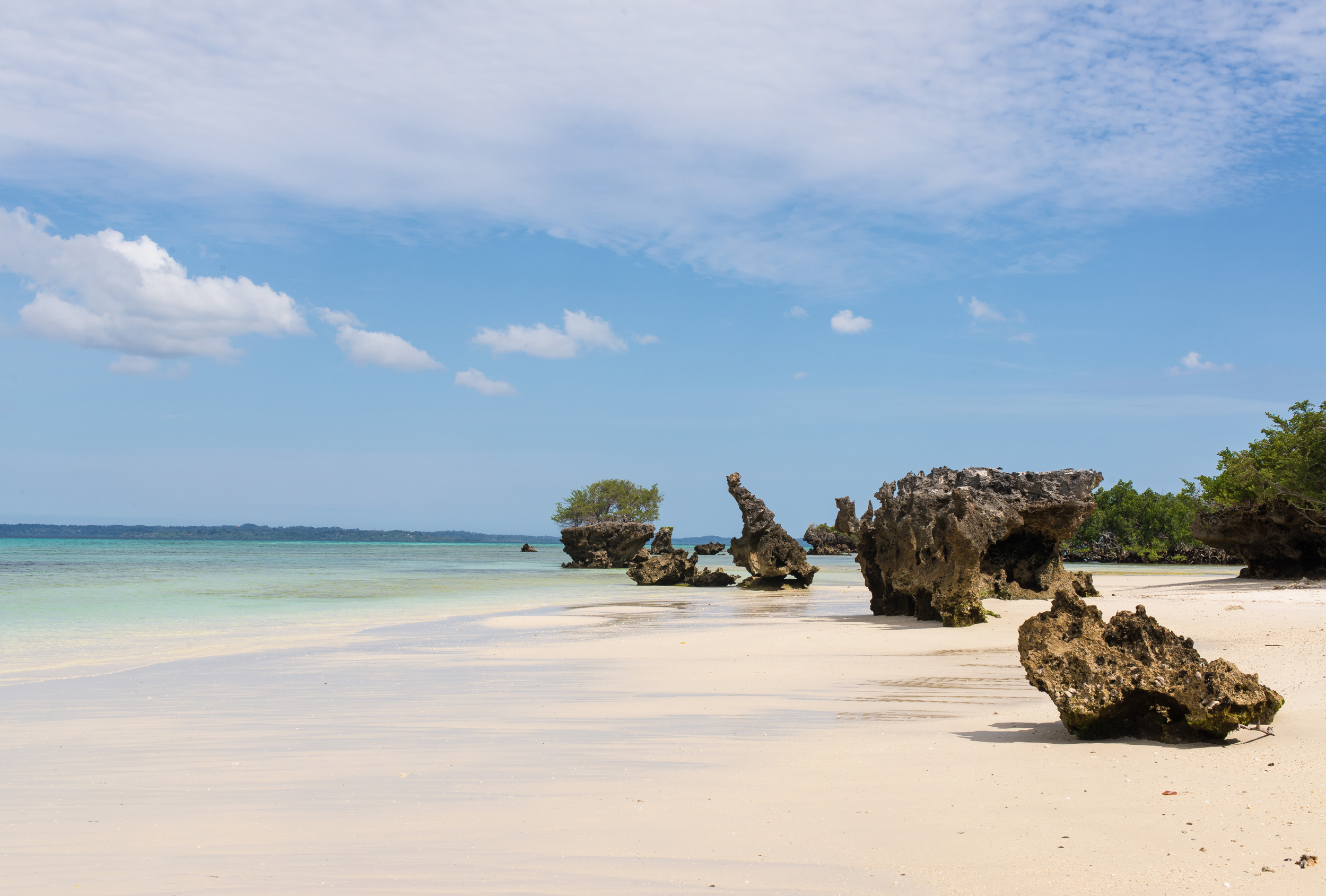 Beach in Tanzania