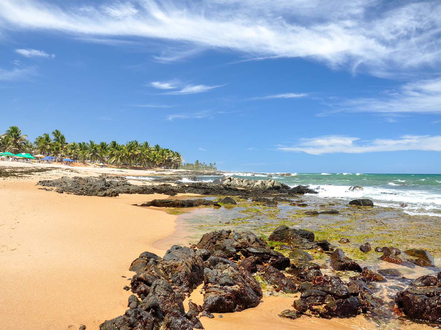 Day 3 - Praia do Forte