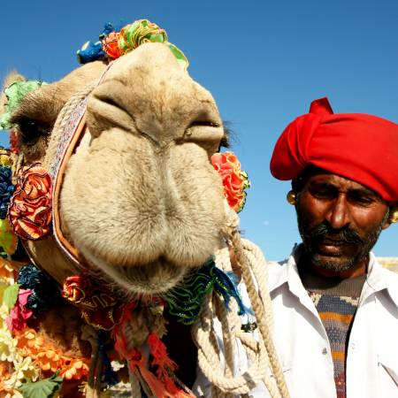 Pushkar camel festival