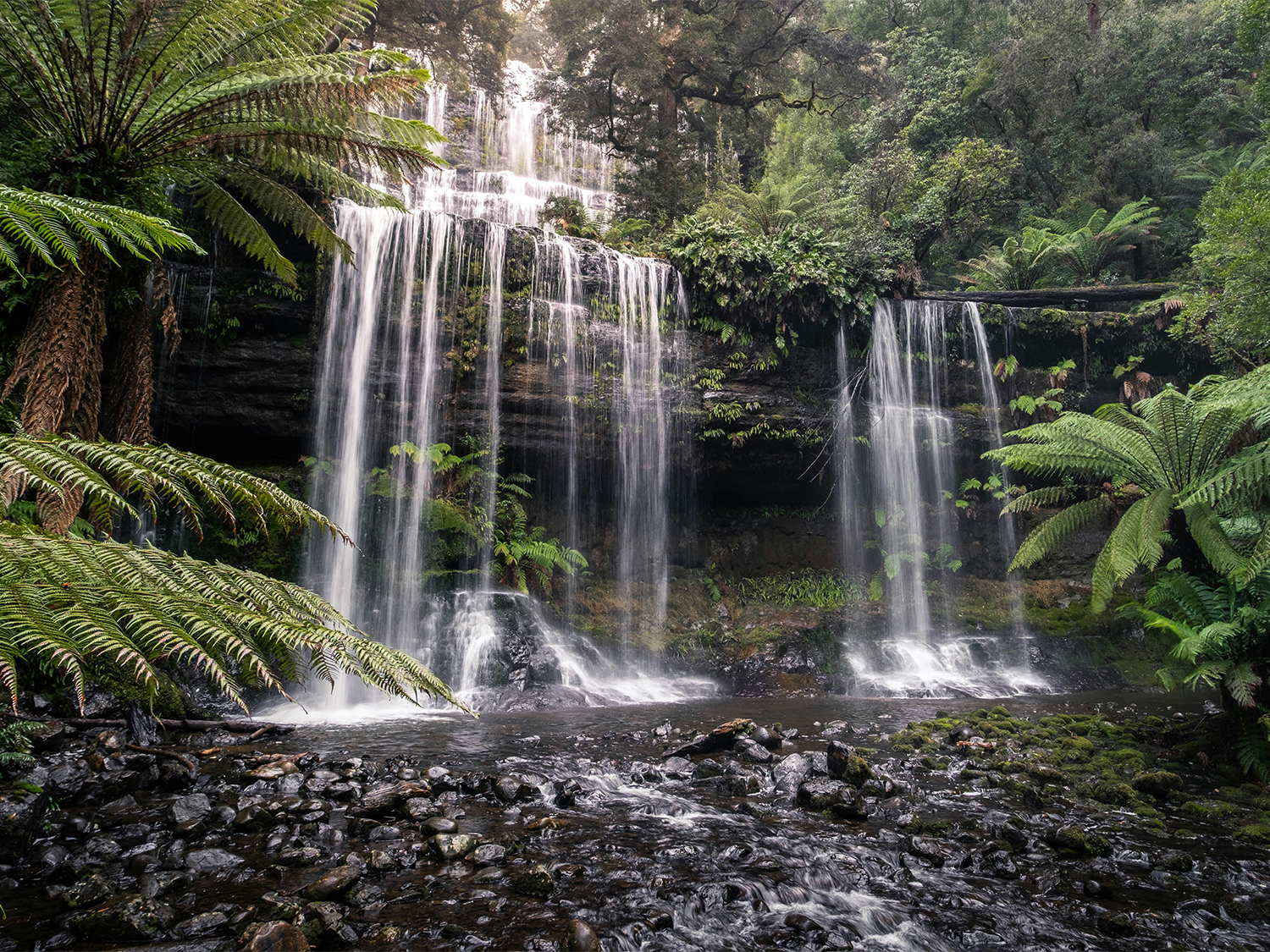 Best of Tasmania - 10 days