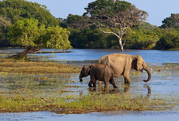 Sri Lanka