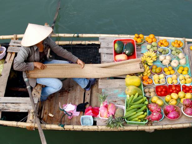 Boat making its way along the Mekong Delta near Can Tho