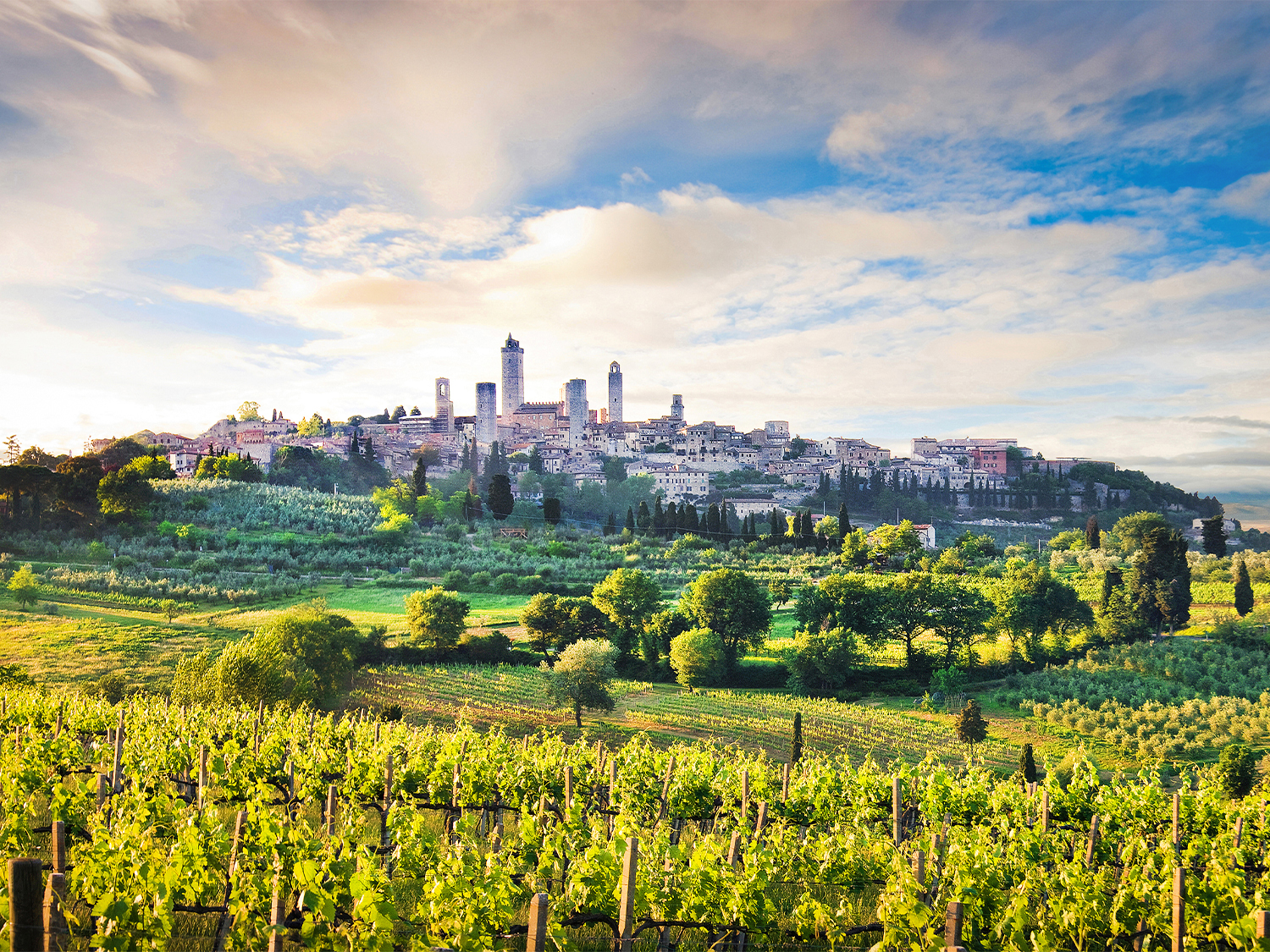 Totally Tuscany - 8 days