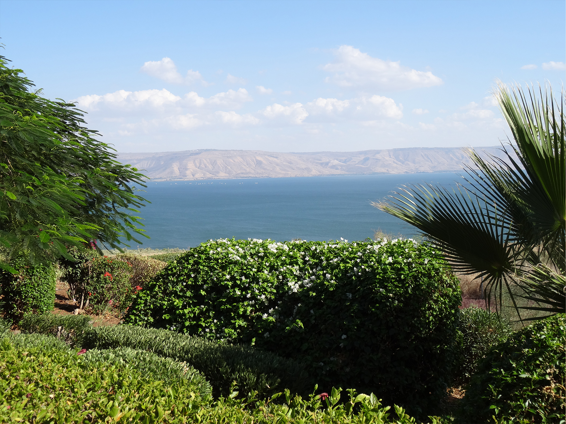 Sea of Galilee 