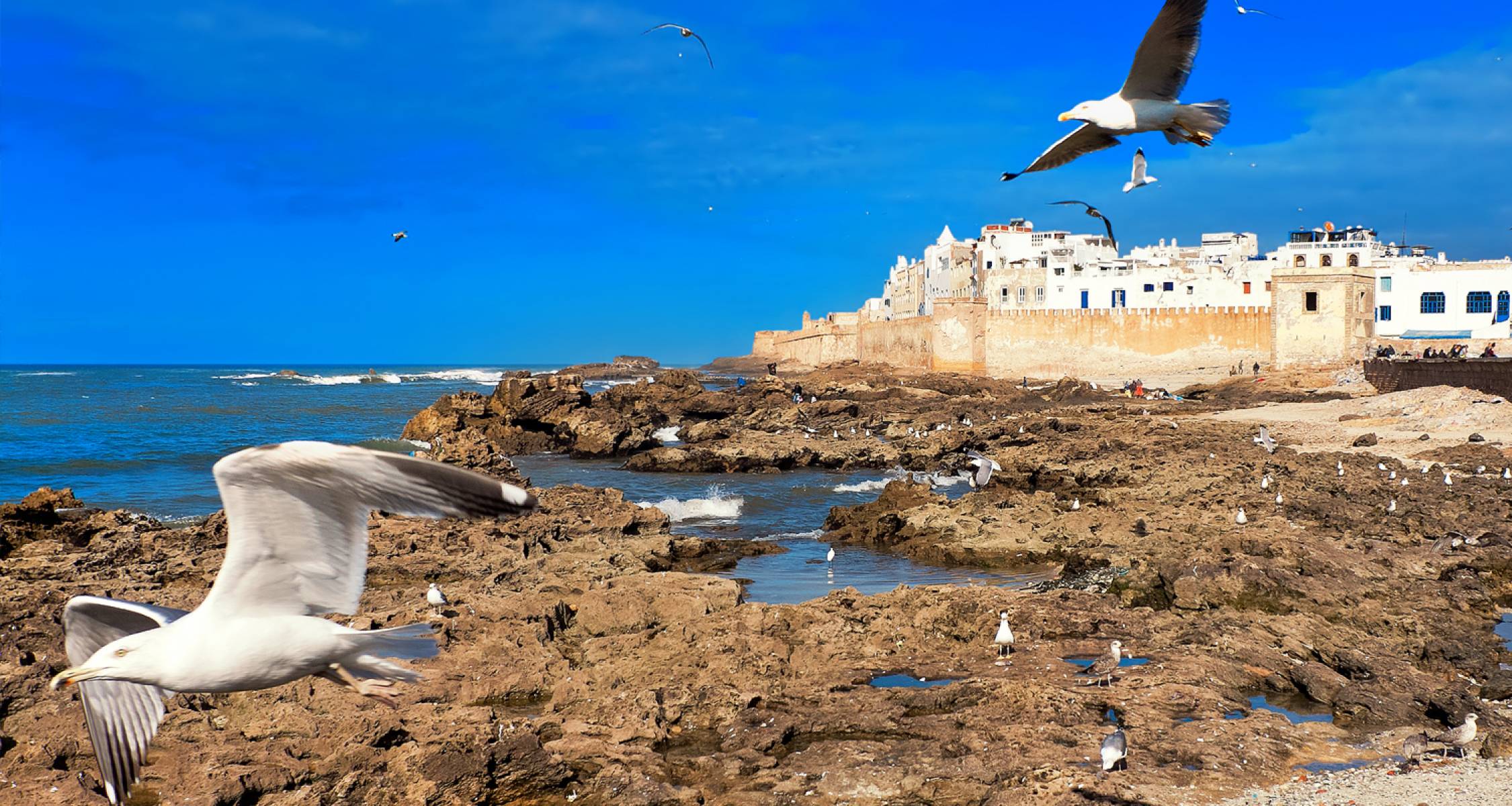 Casablanca to Essaouira - 13 days