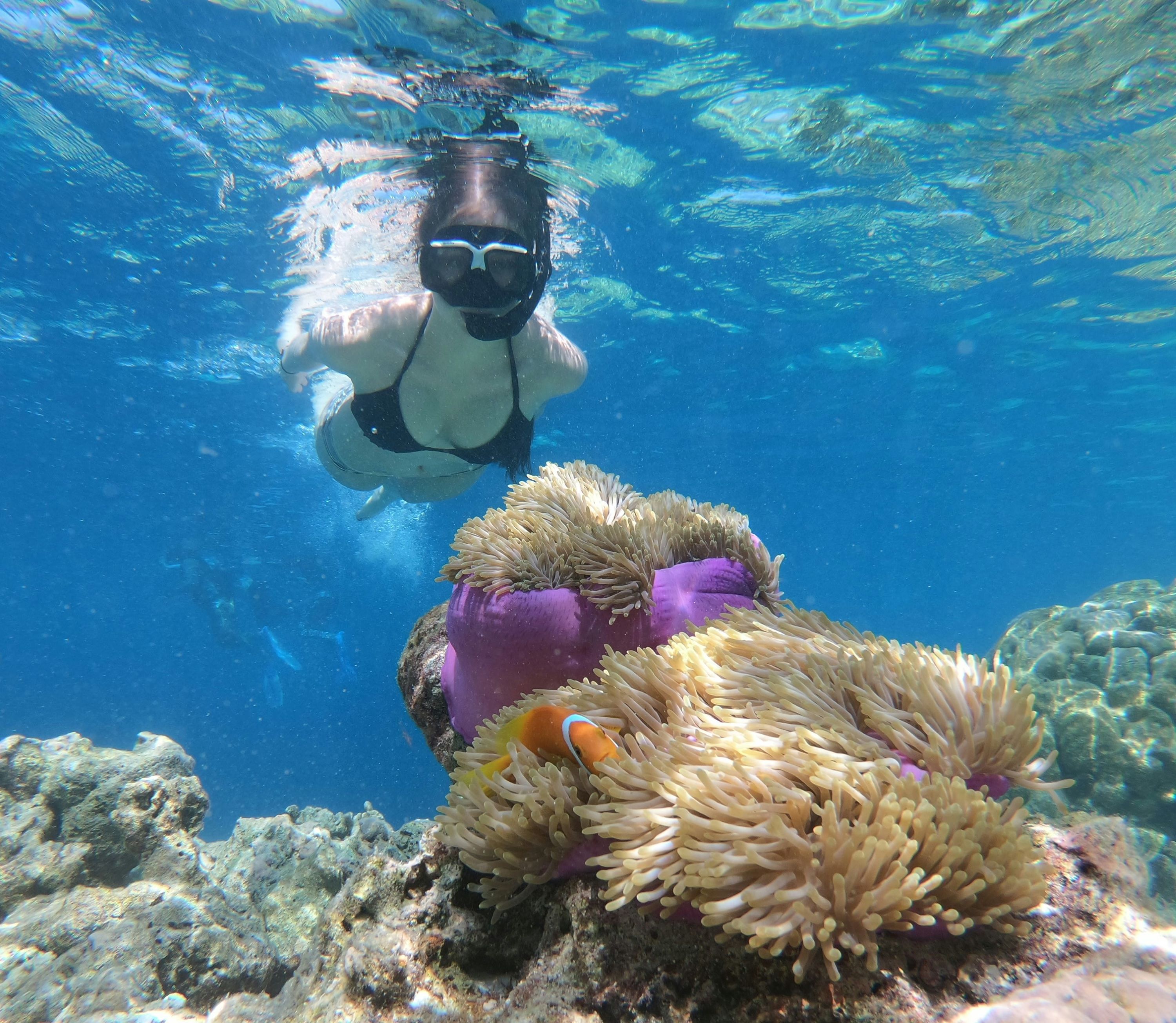 A woman Snorkelling