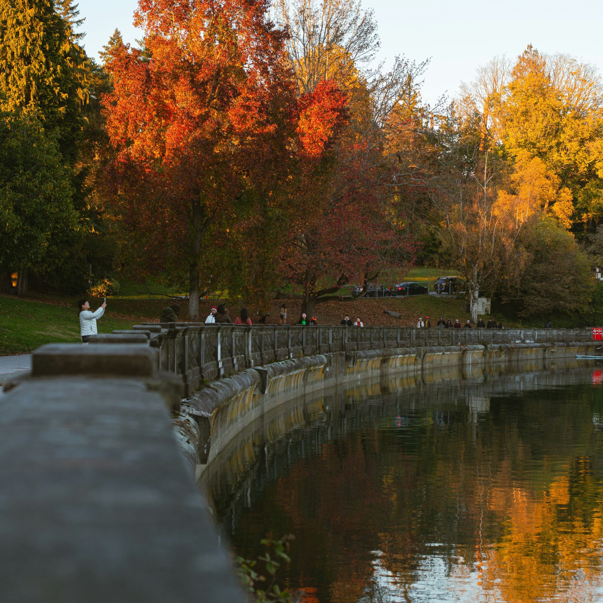 Stanley park in the autumn with orange coloured trees 