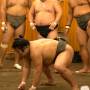 Sumo ready.jpg