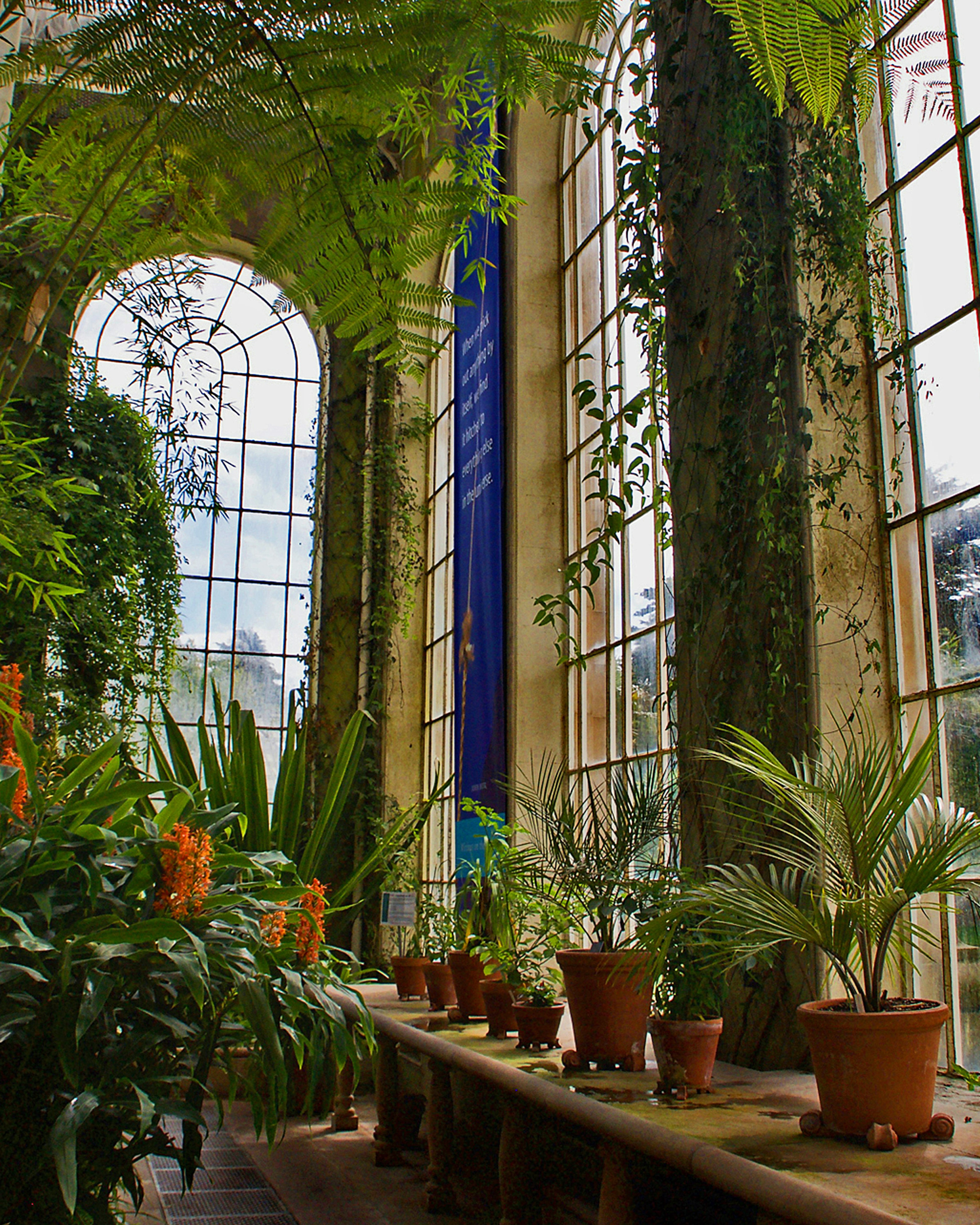 The Royal Botanic Garden glass house Edinburgh 