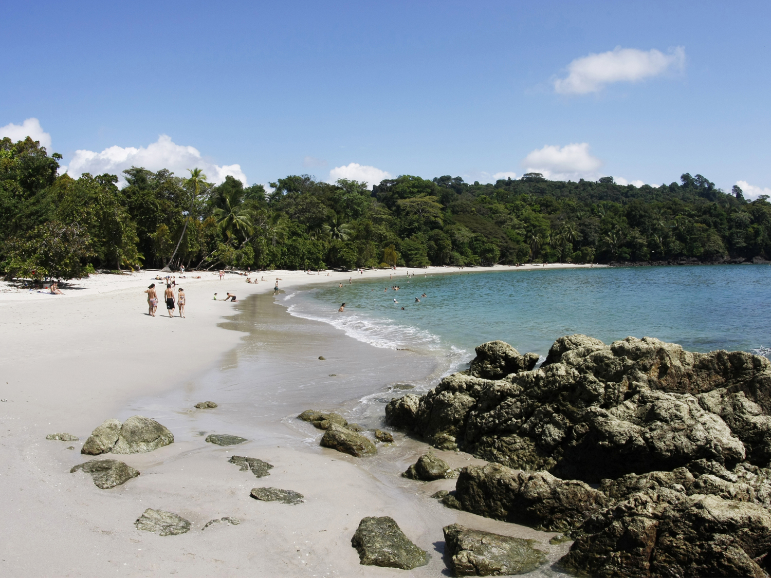 Costa Rica Calling - 8 Days