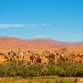 Shadows of camels on the sand in Merzouga