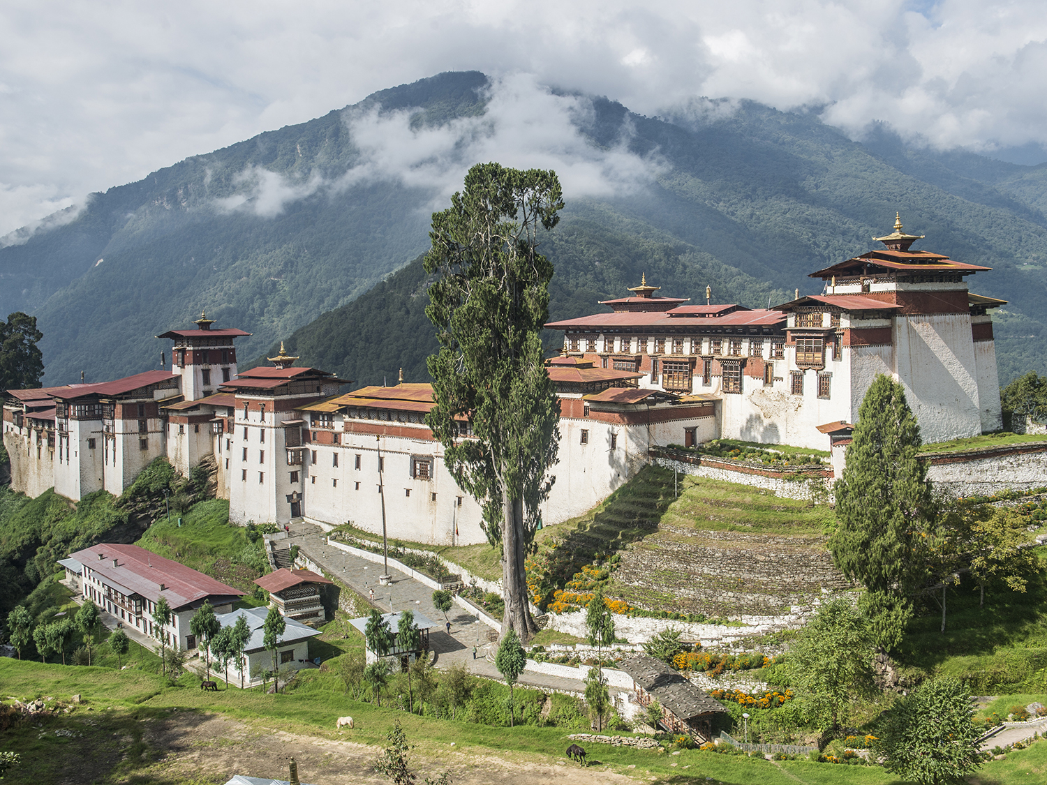 Bhutan Bucket List: Adventures for South African Tourists - Wildlife Encounters