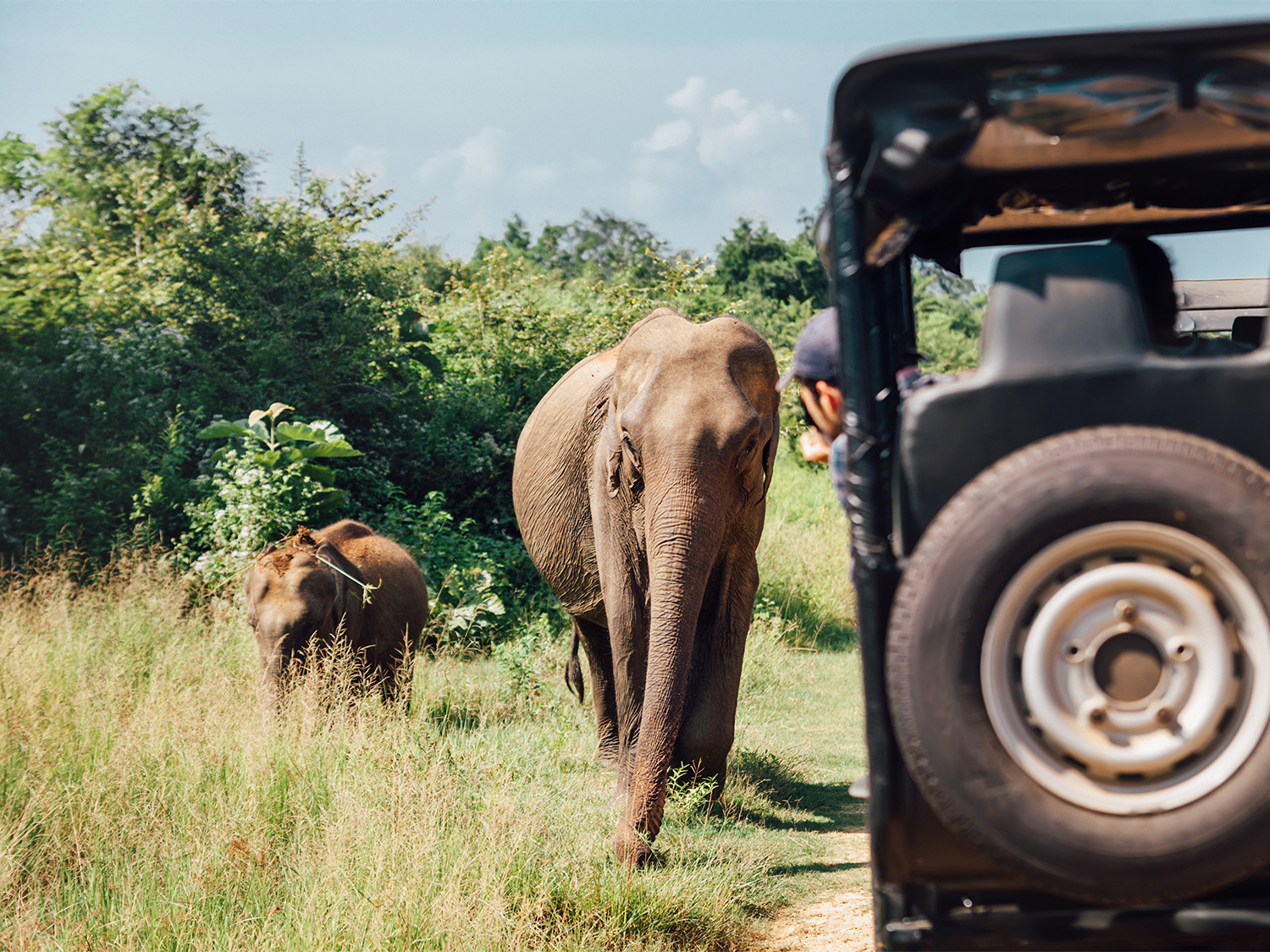 Essential India & Sri Lanka - 26 days