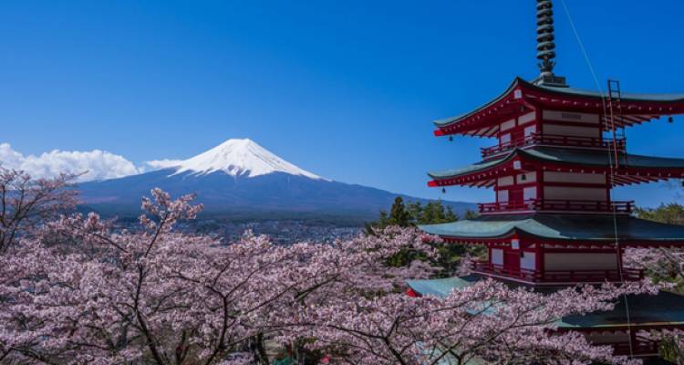 tourhub | On The Go Tours | Essential Japan Explorer - 13 Days 