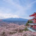 View of Miyajima from across the water in Hakone