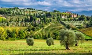 Vineyards-in-Tuscany-one-of-the-best-wine-tasting-destinations