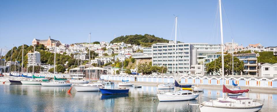 Wellington Oriental Bay - New Zealand - On The Go Tours