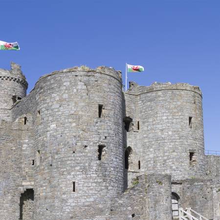 Welsh Wanderer main image - Harlech Castle