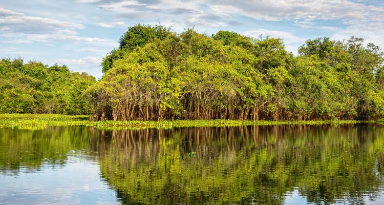 tourhub | On The Go Tours | Natural Wonders of Brazil - 12 days 