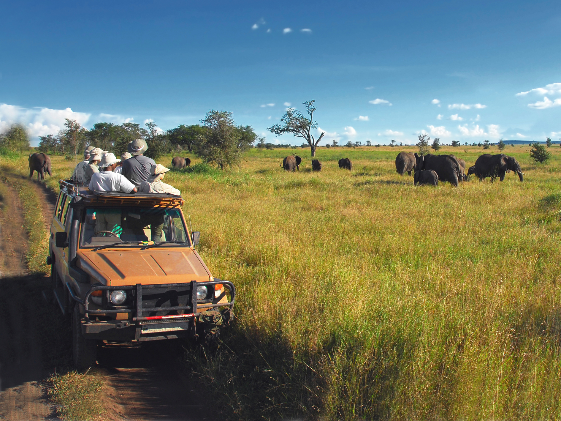 Wild About Tanzania - 10 days