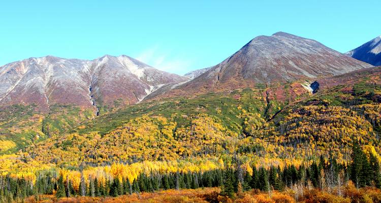 tourhub | On The Go Tours | Central Alaska Summer Camping - 11 days 